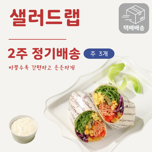 [샐러드랩 정기배송] [택배배송] 2주 정기배송 (주3개)